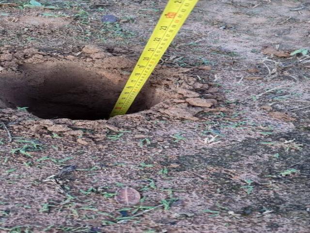 #460 - Fazenda para Venda em São Desidério - BA - 3