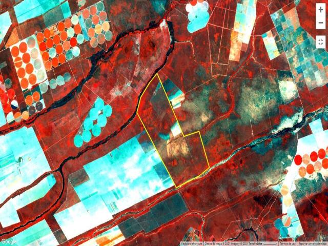 #460 - Fazenda para Venda em São Desidério - BA - 2