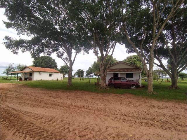 #461 - Fazenda para Venda em Sonora - CA - 1