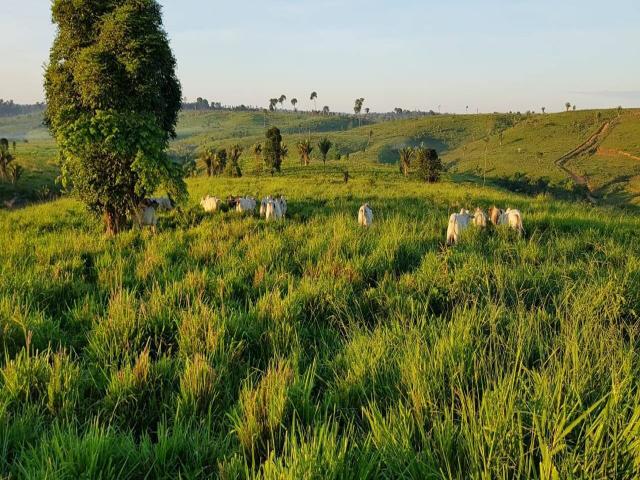 Fazenda para Venda em Marabá - 5