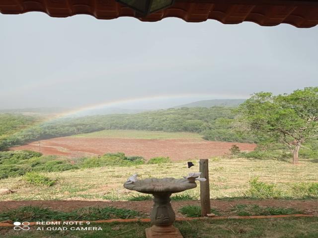 Sítio para Venda em Apucarana - 5