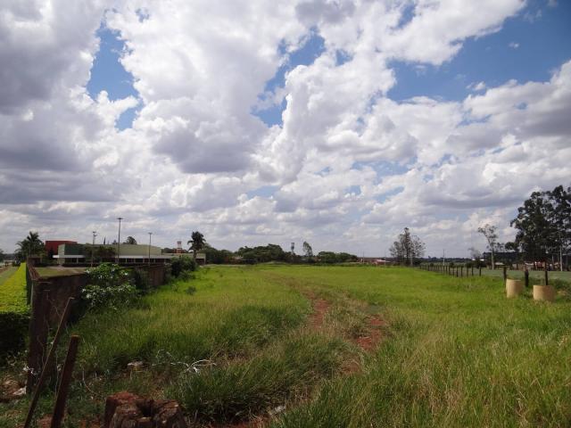 Chácara para Venda em Arapongas - 4