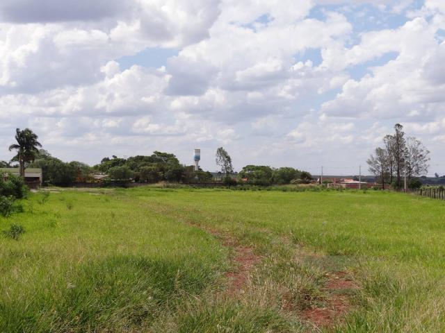 Chácara para Venda em Arapongas - 5