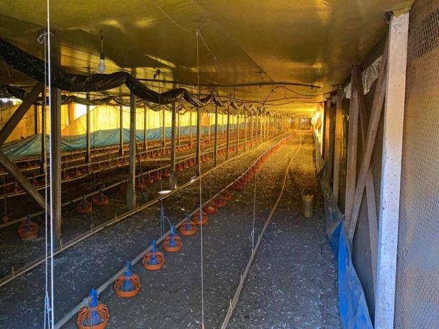 Granja para Venda em Londrina - 4