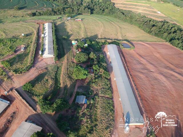 #634 - Granja para Venda em Araruna - PR - 1
