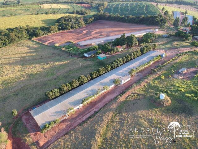 #634 - Granja para Venda em Araruna - PR - 3