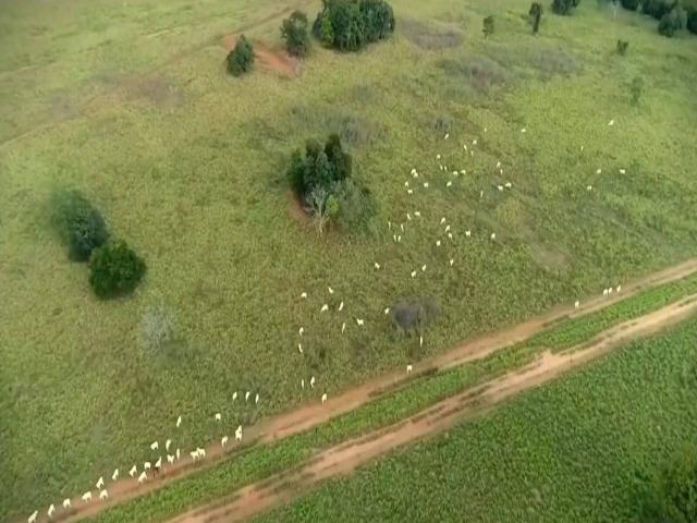 Fazenda para Venda em Rondonópolis - 5