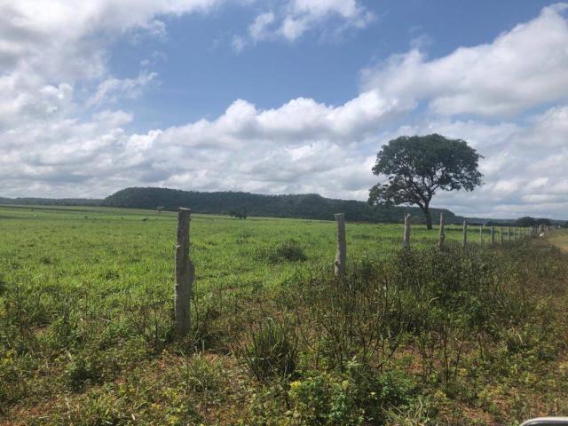 Fazenda para Venda em Araguaína - 4