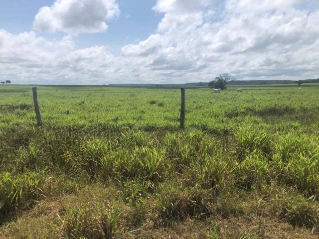 Fazenda para Venda em Araguaína - 5