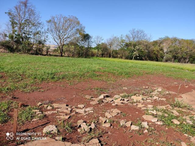 Terreno para Venda em Arapongas - 4