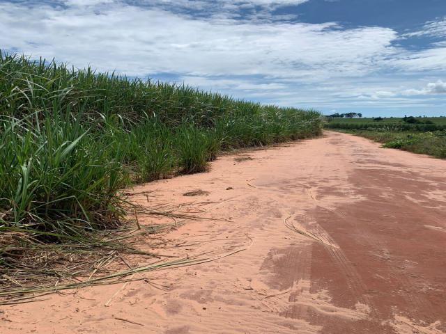 Fazenda para Venda em Paranavaí - 4
