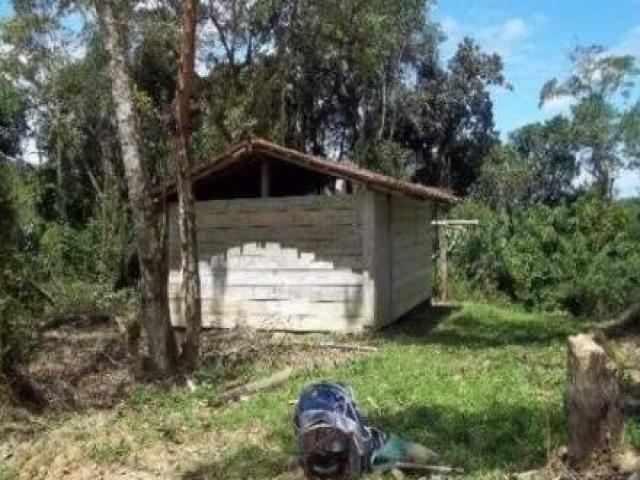 Floresta Mista para Venda em Apiaí - 4