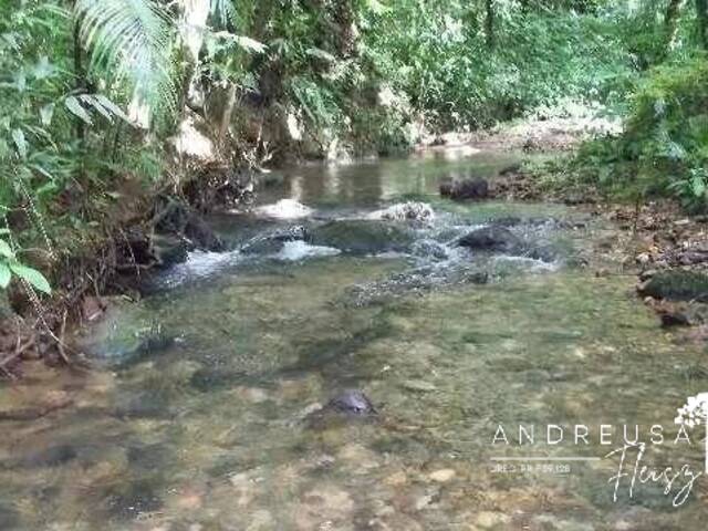 #689 - Floresta Mista para Venda em Apiaí - SP - 3