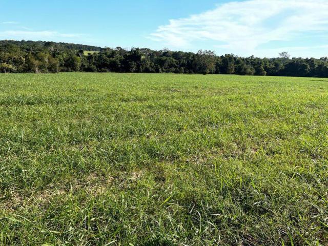 Fazenda para Venda em Araguaína - 5