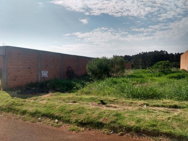 Terreno para Venda em Arapongas - 5
