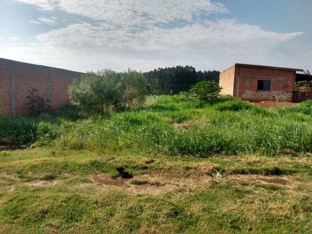Terreno para Venda em Arapongas - 4