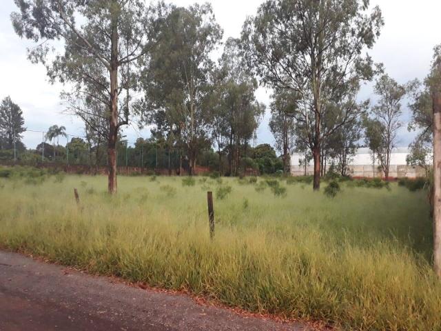 Terreno para Venda em Arapongas - 4