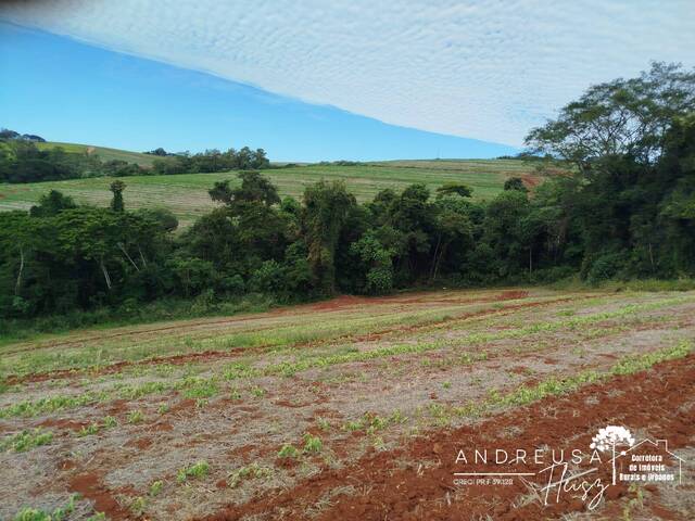 Chácara para Venda em Califórnia - 2