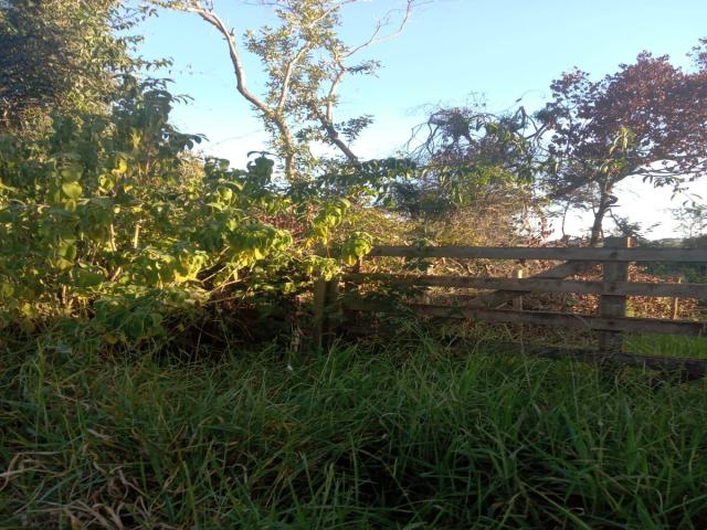 Chácara para Venda em Bauru - 4