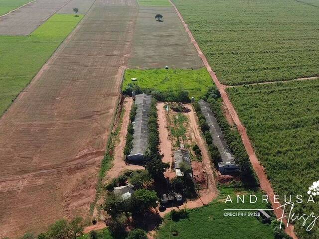 #723 - Granja para Venda em Miraselva - PR - 1